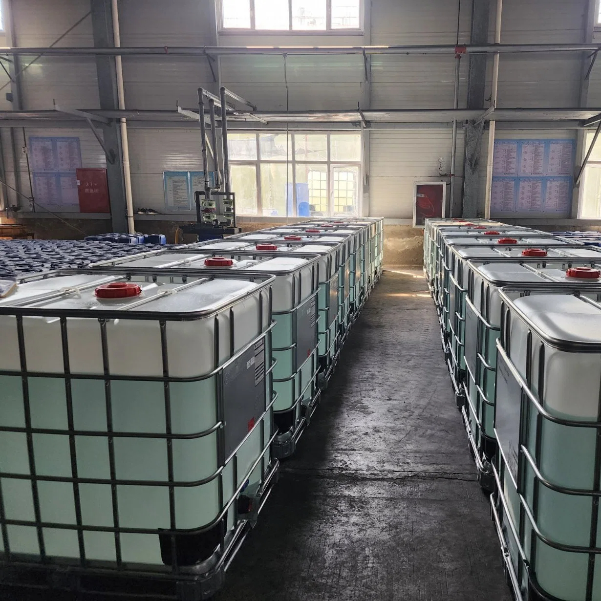 glutaraldehyde glutaraldeído