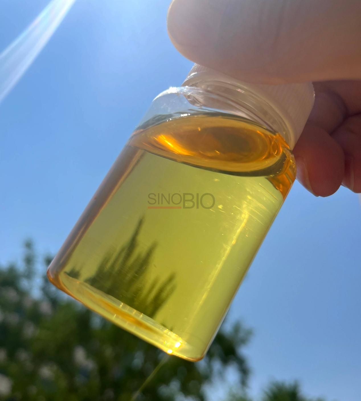 PIBSA (anidrido poliisobutenil succ&iacute;nico) (2)