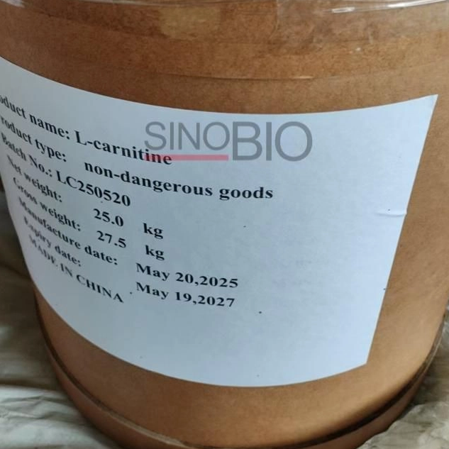 L-carnitina em pó de qualidade alimentar da China para bebidas energéticas e lanches
