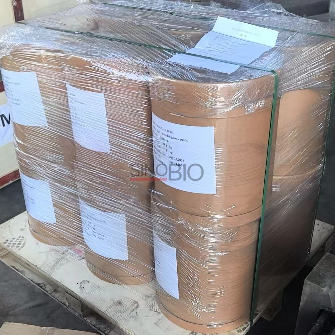 L-carnitina em pó de qualidade alimentar da China para bebidas energéticas e lanches