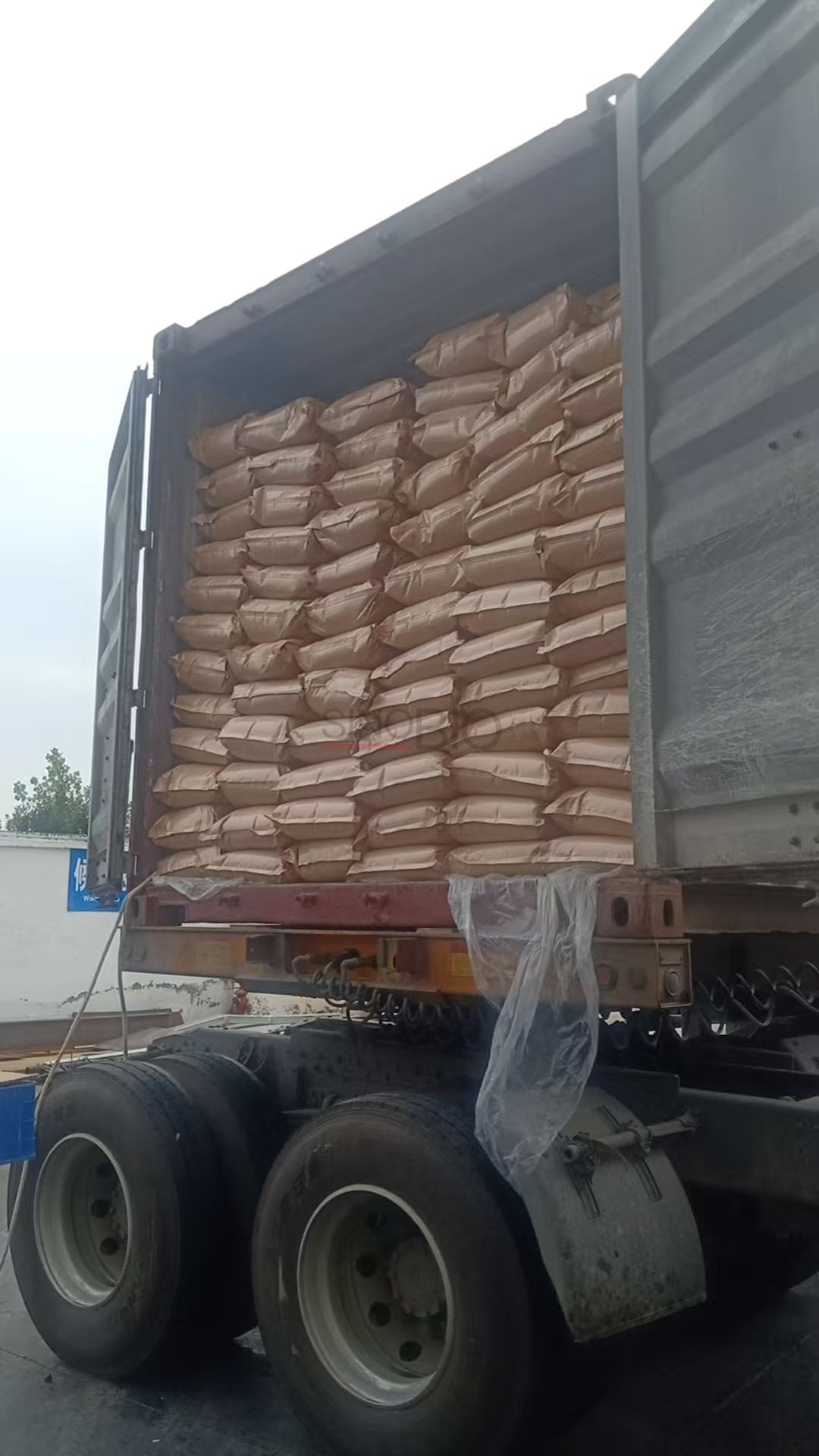 Pacote de lactato de c&aacute;lcio (1)